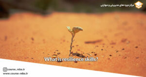 What is resilience skills?