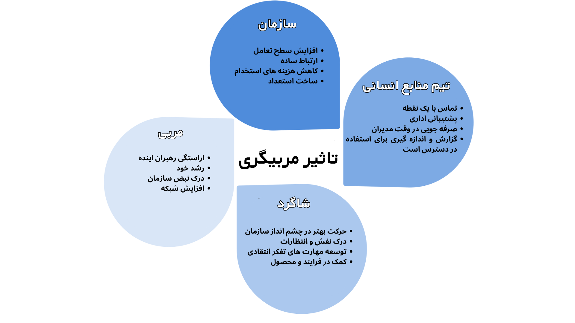 تاثیر منتورینگ