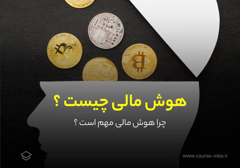 هوش مالی چیست