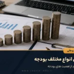 بررسی انواع مختلف بودجه