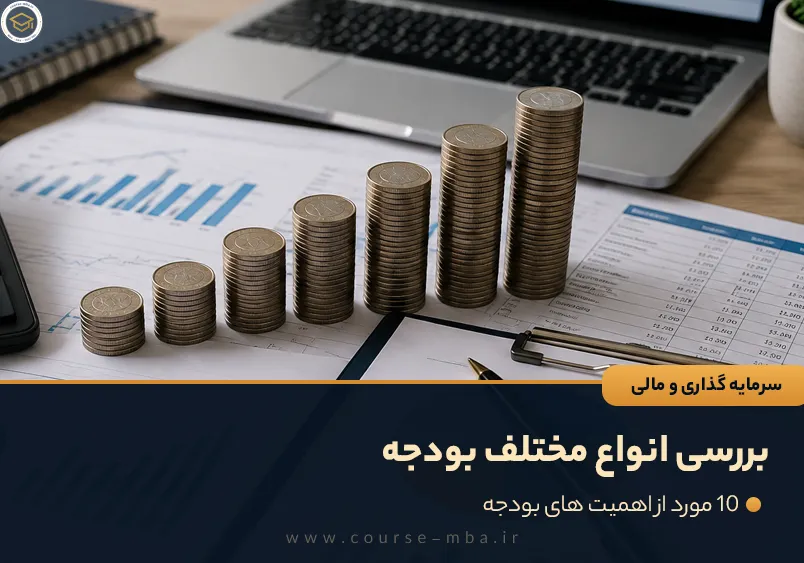 بررسی انواع مختلف بودجه